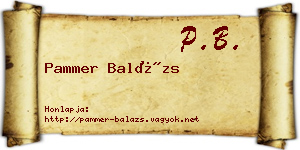 Pammer Balázs névjegykártya