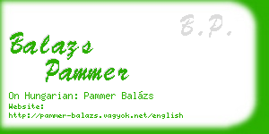 balazs pammer business card